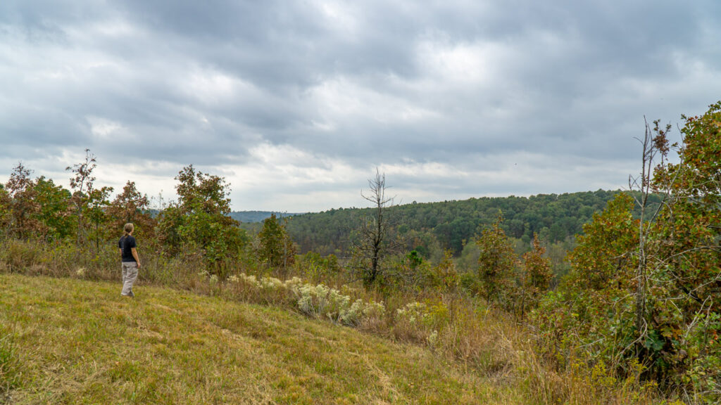 Tahlequah Tracks: J.T. Nickel Family Nature & Wildlife Preserve