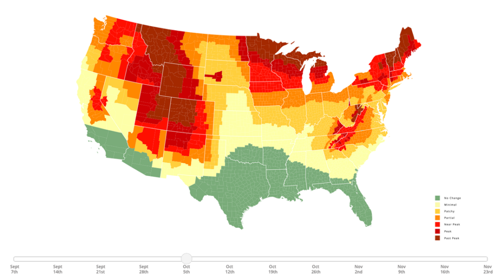 How to Check for Peak Fall Foliage in your Area