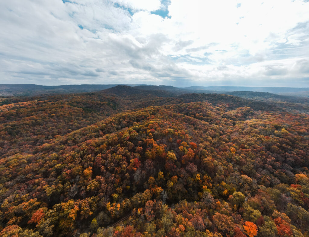 When to See Oklahoma Fall Colors in Cherokee County